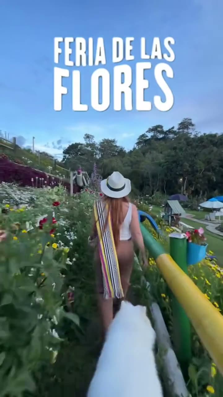 Video en la Feria de las Flores